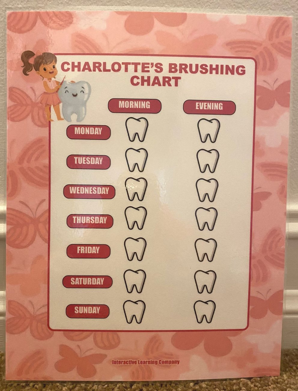 Reusable Personalized Teeth Brushing Training Chart